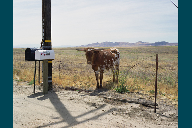 California Valley, 2008